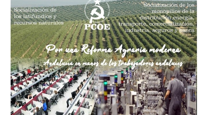Nuestra organización está denunciando en los pueblos agrícolas de la provincia de Sevilla las políticas para acabar con los cultivos de la aceituna (entre otros) en Andalucía, por parte de…