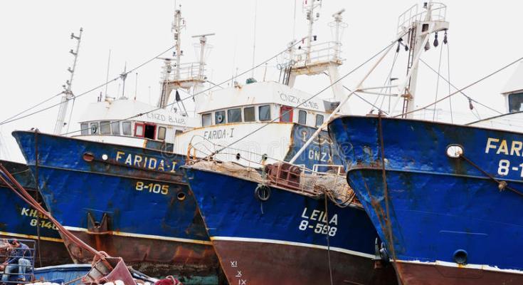 La Unión Europea (UE) y el Reino de Marruecos, representando los intereses de sus respectivos armadores (empresarios de la pesca), se han repartido los recursos pesqueros de los caladeros de…