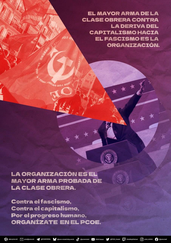 Organizacion