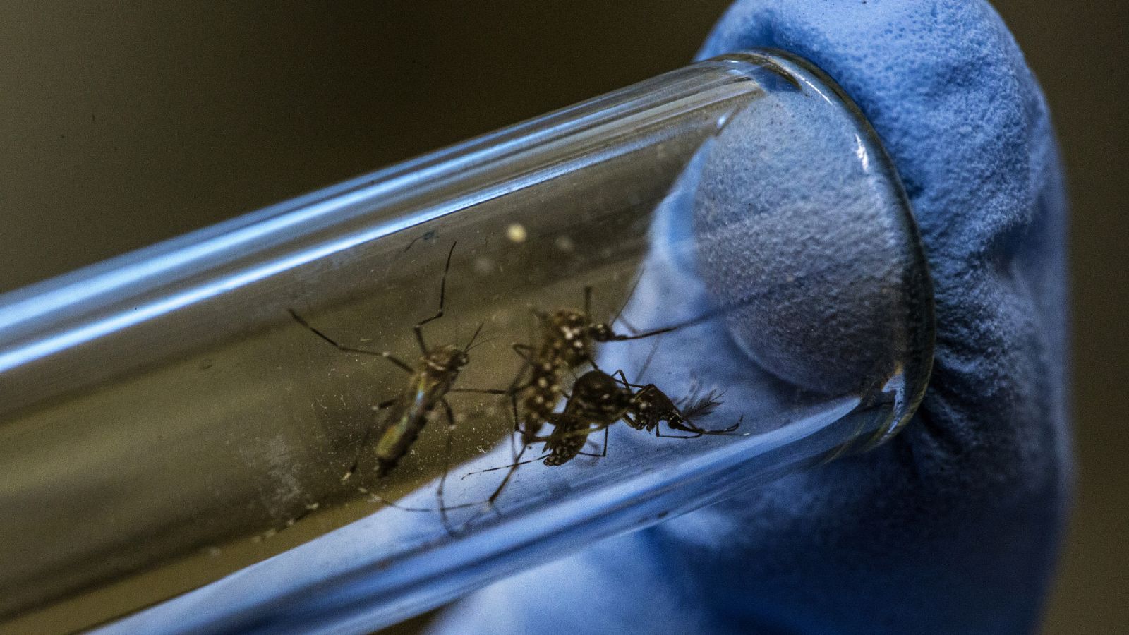 Los experimentos bacteriológicos de los Estados Unidos