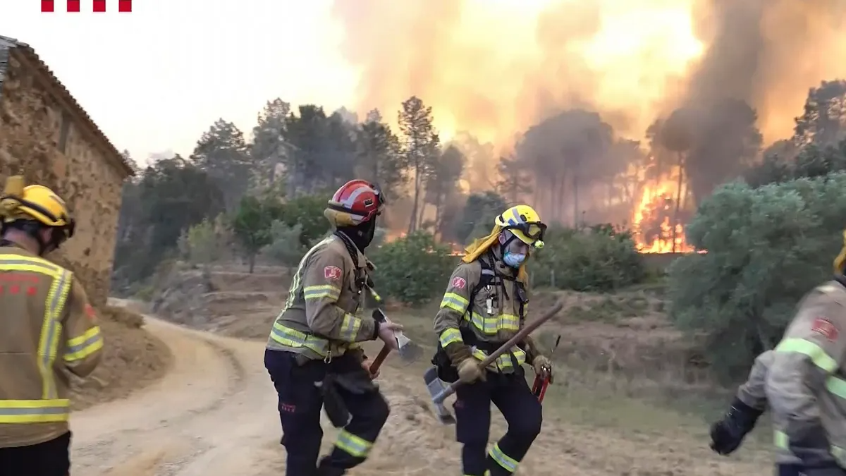 Incendios: El capitalismo mata al hombre y a la naturaleza